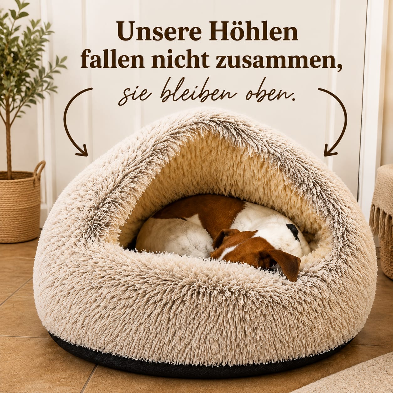 Das PAWHAVEN – Das ultimative 2-in-1-Haustierbett