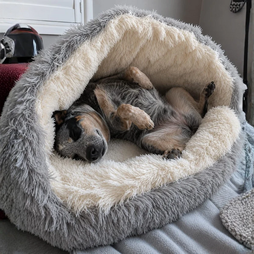 Snuggles Cove 2-in-1 Pet Bed